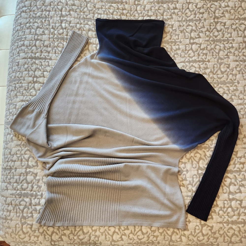 Vertigo Paris Blue and Beige Ombre Turtleneck Sweater
